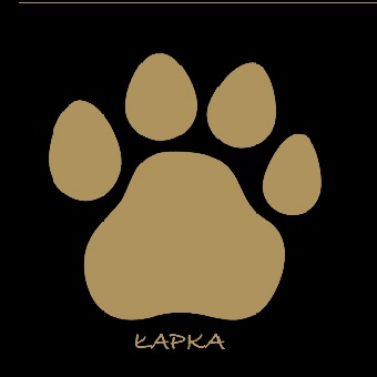 Atelier Masa�u Beaty Juengst sponsorem Biegu z �apk�